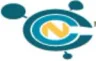CCN Technologies logo